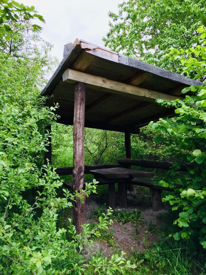 Gaestehaus Hohetanne1 Grossbreitenbach 外观 照片