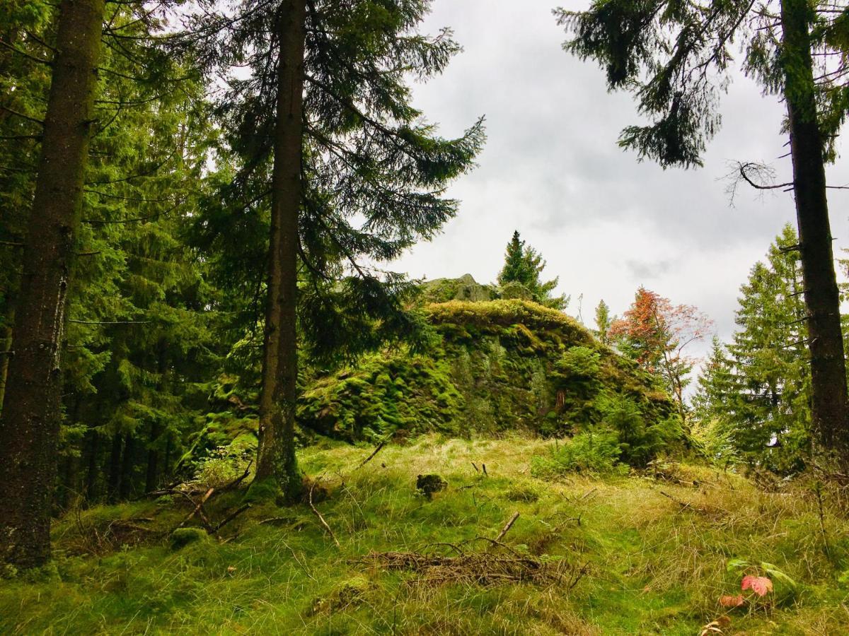 Gaestehaus Hohetanne1 Grossbreitenbach 外观 照片